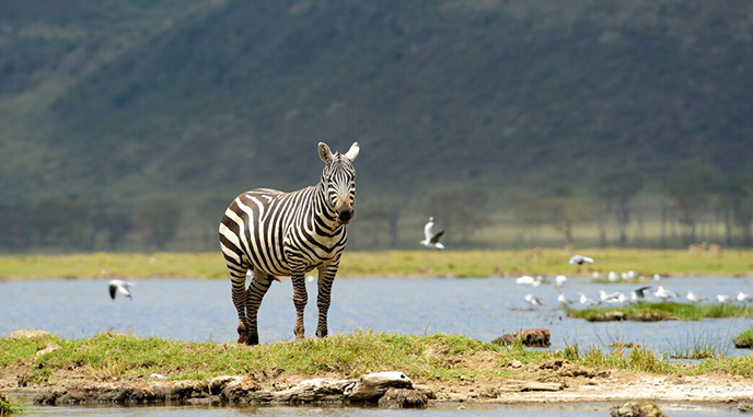nakuru tour deals